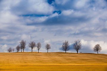 Image showing Autumn scenery on a golf course