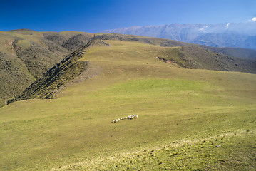 Image showing Panorama in Capilla del Monte