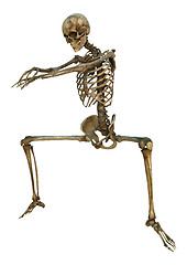 Image showing Dancing Skeleton