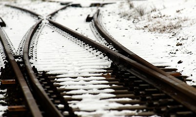 Image showing Railroad tracks in the snow