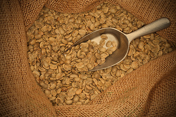 Image showing raw coffee beans