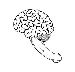 Image showing human brain with penis