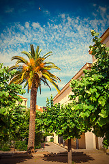 Image showing Mediterranean town Tossa de Mar