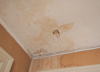 Image showing Damp moisture