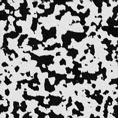 Image showing Dalmatian Dog Fur