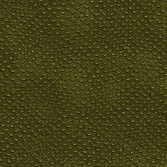 Image showing Crocodile Skin