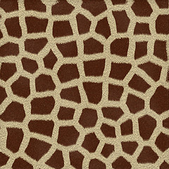 Image showing Giraffe Fur