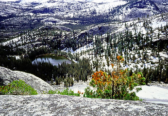 Image showing Yosemite National Park