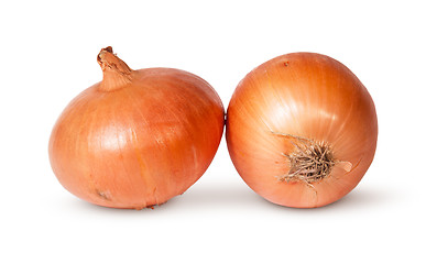 Image showing Two Fresh Golden Onions