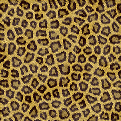 Image showing Leopard Fur