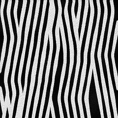 Image showing Zebra Fur