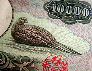 Image showing 10000 Yen Texture