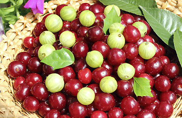 Image showing Ripe berries