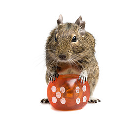 Image showing small rodent with big dice cube