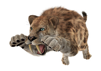 Image showing Big Cat Smilodon