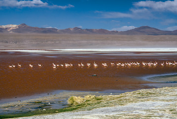 Image showing Red lake