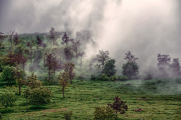 Image showing Fog