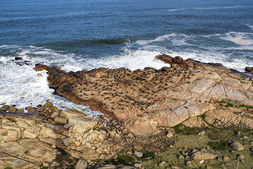 Image showing Cabo Polonio