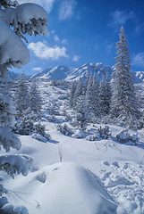 Image showing Idyllic winter