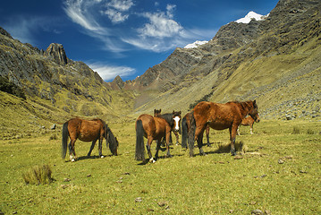 Image showing Peruvian Andes