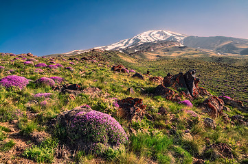 Image showing Damavand in Iran