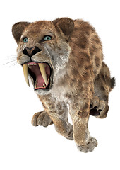 Image showing Big Cat Smilodon