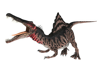 Image showing Dinosaur Spinosaurus