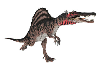 Image showing Dinosaur Spinosaurus