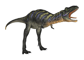 Image showing Dinosaur Aucasaurus