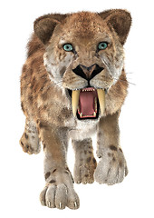 Image showing Big Cat Smilodon