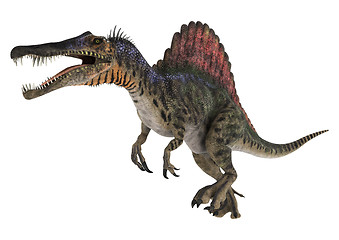 Image showing Dinosaur Spinosaurus