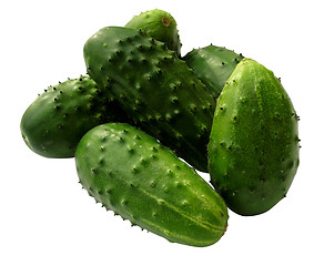 Image showing Cucumber Isolated on white