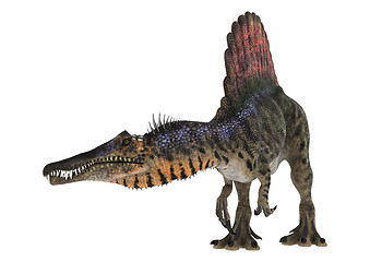 Image showing Dinosaur Spinosaurus