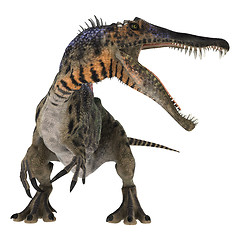 Image showing Dinosaur Spinosaurus