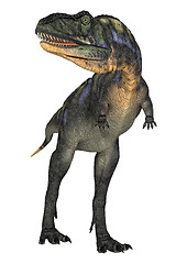 Image showing Dinosaur Aucasaurus