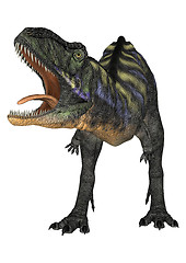 Image showing Dinosaur Aucasaurus