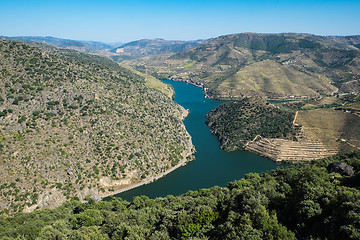 Image showing Douro Vineyards by the River