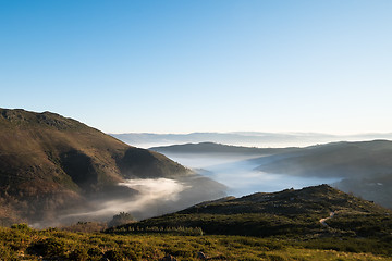 Image showing Fog in the Valley