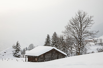 Image showing Barn on Snowy Field