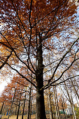 Image showing autumn landscape 