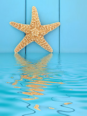 Image showing Starfish Beauty