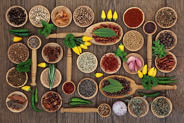 Image showing Chilli Spices and Herbs