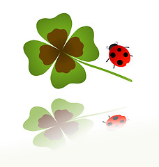 Image showing ladybird and shamrock leaf 