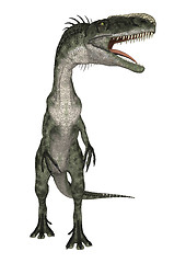 Image showing Dinosaur Monolophosaurus