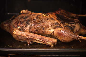 Image showing roasted goose 