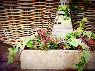 Image showing Baskets and blooming plants, garden decoration