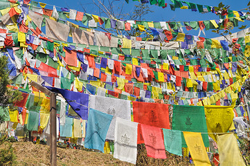 Image showing Buddhist prayer flags in  Dharamshala, India