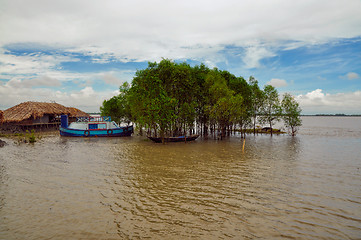 Image showing Village in Bangladesh