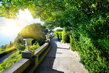 Image showing Flowerpots in park