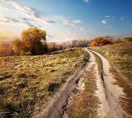 Image showing Autumn and road